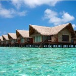 馬爾代夫白金島簡介